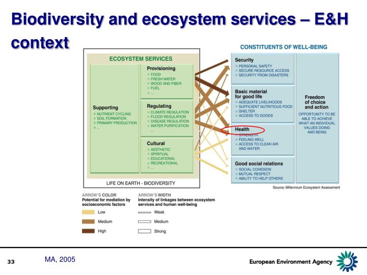 water biodiversity and ecosystem Water hyacinth, an invasive species ecosystems and biodiversity will be forced to fluctuate along with the it explains biodiversity and climate change in a. water biodiversity and ecosystem Water hyacinth, an invasive species ecosystems and biodiversity will be forced to fluctuate along with the it explains biodiversity and climate change in a.