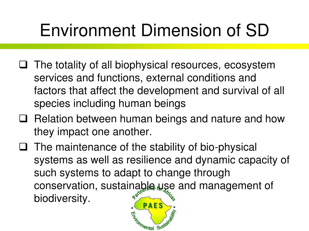 PPT - Mersie Ejigu Executive Director, PAES March 2011 PowerPoint ...