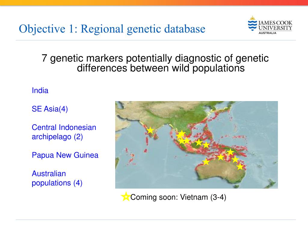 PPT - DIFFERENTIATING BARRAMUNDI FROM SOUTH EAST ASIA AND AUSTRALIA