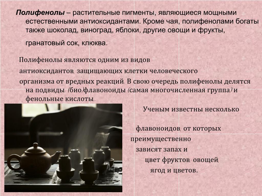 Полифенолы что это Полифенолы что это