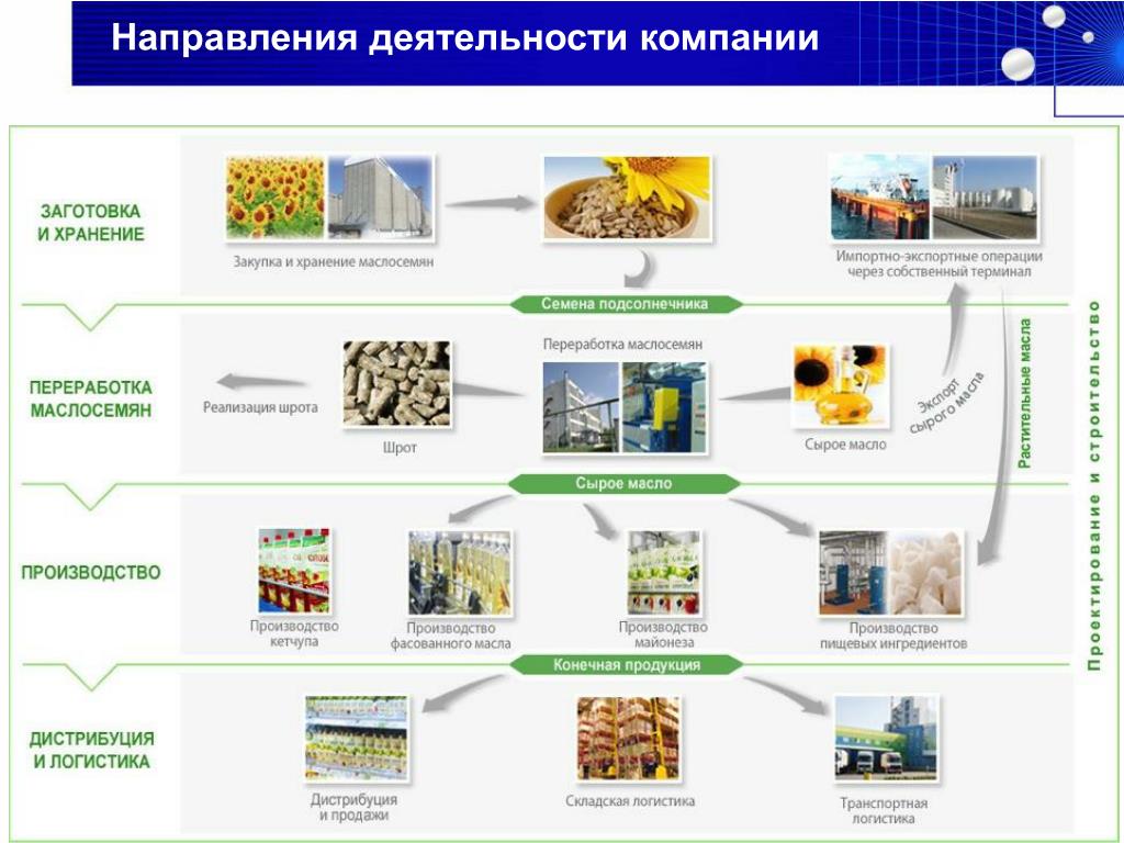 Направление деятельности организации пример