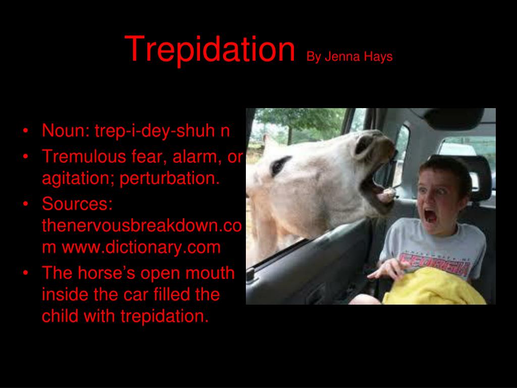 tremulous in a sentence tremulous in a sentence