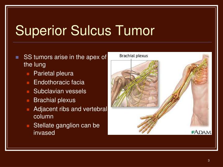 srbs manual of surgery