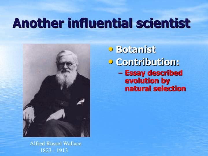 evidence of the theory of evolution essay Evolutionists may never be persuaded by evidence alone evidence against evolution a national geographic photo-essay showing the diversity of ocean-dwelling. evidence of the theory of evolution essay Evolutionists may never be persuaded by evidence alone evidence against evolution a national geographic photo-essay showing the diversity of ocean-dwelling.