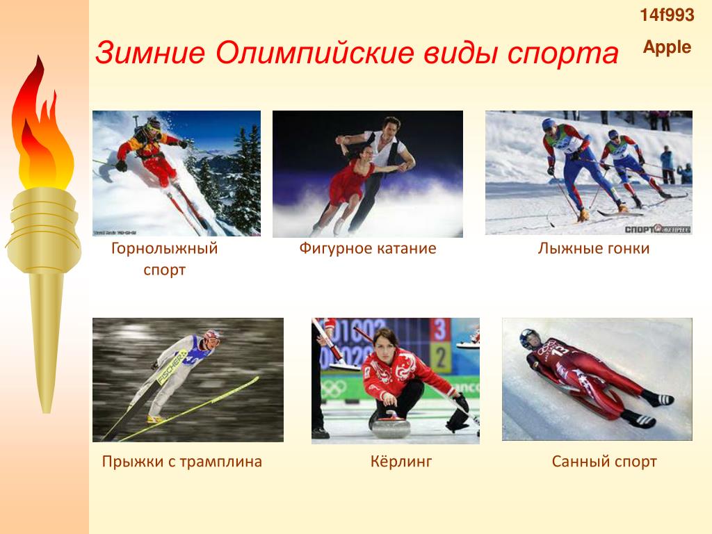 PPT - Готовимся к зимней Олимпиаде: PowerPoint Presentation - ID:3691823