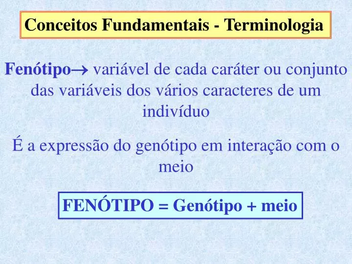 PPT - Conceitos Fundamentais - Terminologia PowerPoint Presentation ...