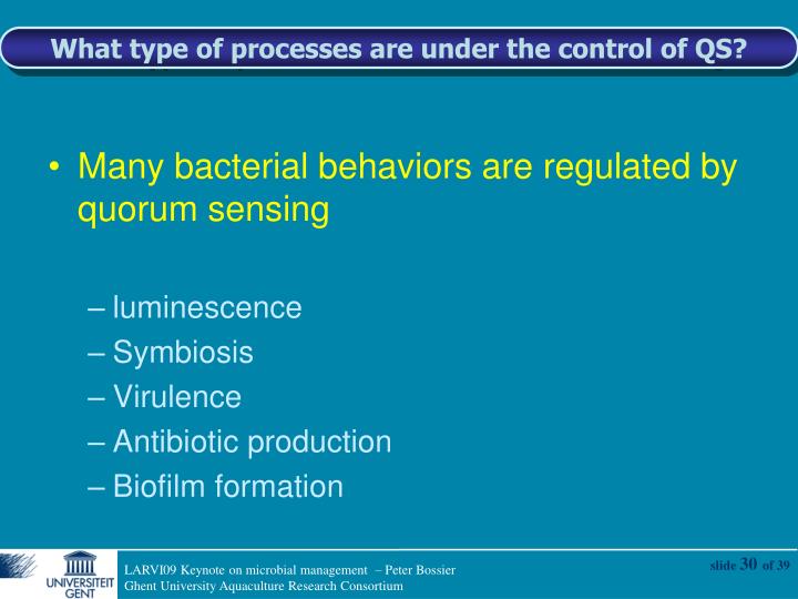 antibiotic production Because the production of antibiotics is non-growth associated, using cell immobilization to uncouple cell growth and metabolite production is an effective method of improving the process different immobilization techniques have been tried for antibiotics production. antibiotic production Because the production of antibiotics is non-growth associated, using cell immobilization to uncouple cell growth and metabolite production is an effective method of improving the process different immobilization techniques have been tried for antibiotics production.