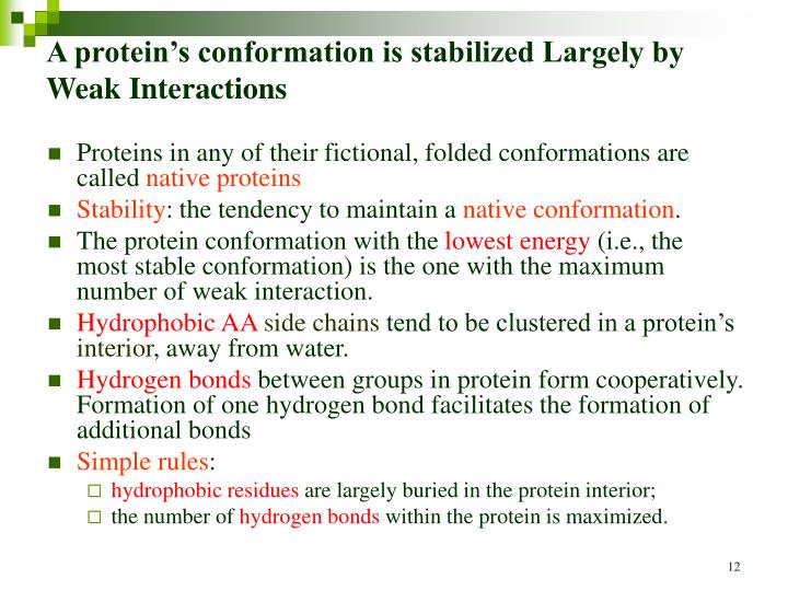 PPT Chapter 4 THE THREEDIMENSIONAL STRUCTURE OF PROTEINS PowerPoint