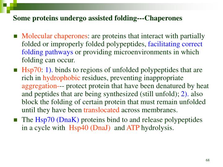 PPT Chapter 4 THE THREEDIMENSIONAL STRUCTURE OF PROTEINS PowerPoint