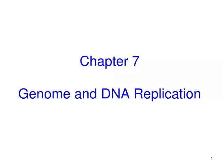 PPT - Chapter 7 Genome and DNA Replication PowerPoint Presentation ...