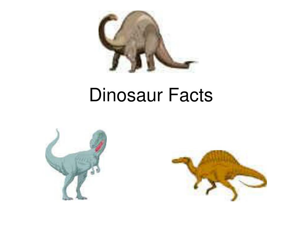 Dinosaur Facts Powerpoint Presentation