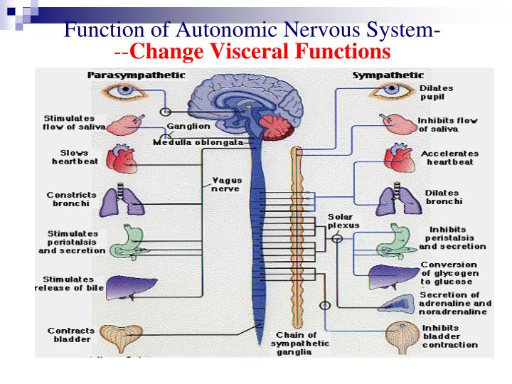 PPT Part 8 PowerPoint Presentation ID3697521