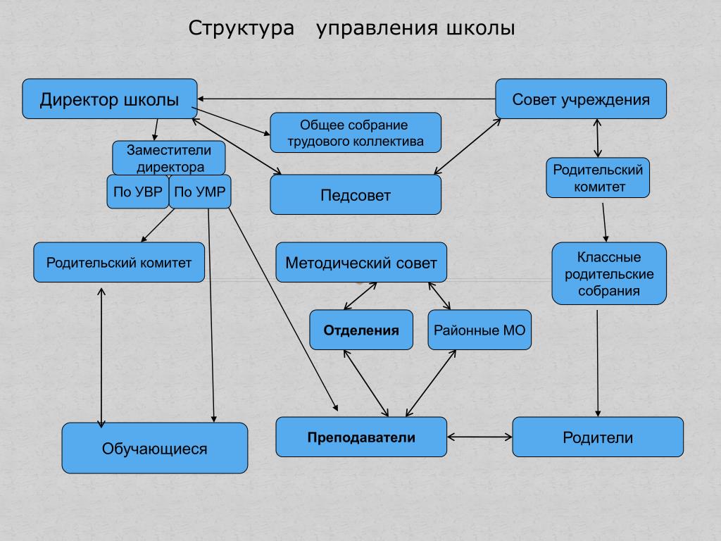 Совет школы состав. Директор школы структура управления. Структура управляющего совета школы. Состав управленческого совета школы. Структура школьного совета.