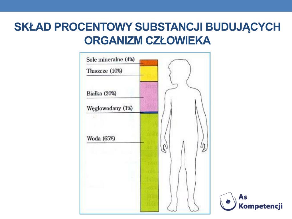 Ile Krwiobiegów Znajduje Się W Organizmie Człowieka PPT - Dane INFORMACYJNE (do uzupełnienia) PowerPoint Presentation, free