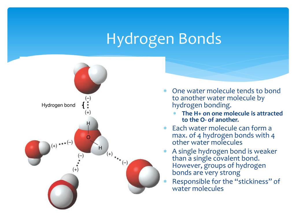 presentation on water molecules