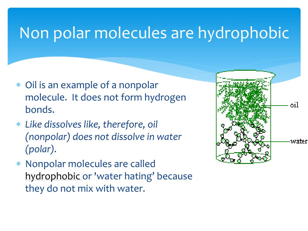 Why Oil And Water Don T Mix