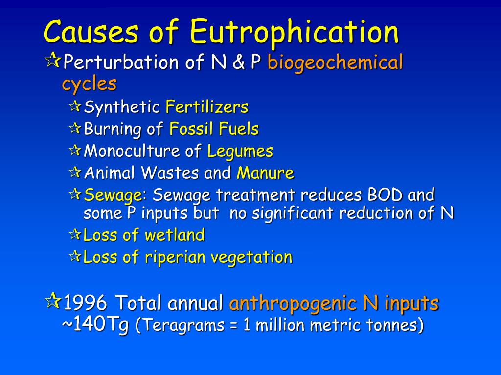 PPT Eutrophication 2 Causes of Eutrophication PowerPoint Presentation
