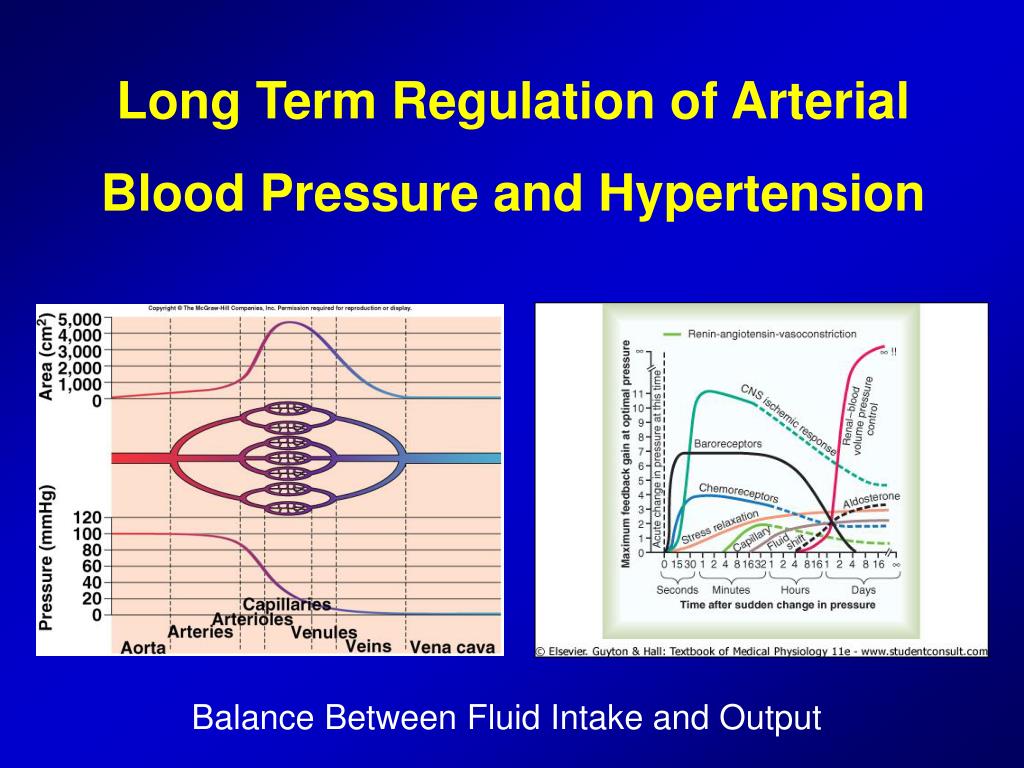 arterial blood pressure