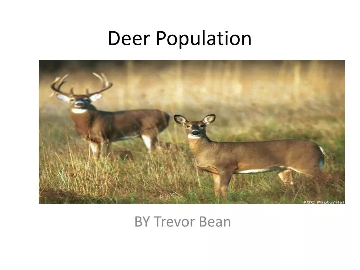 PPT Deer Population PowerPoint Presentation, free download ID3703138