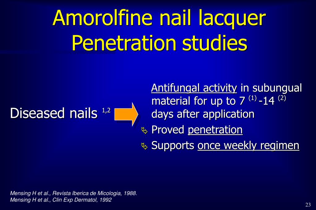 PPT - Amorolfine nail lacquer in onychomycosis PowerPoint Presentation ...