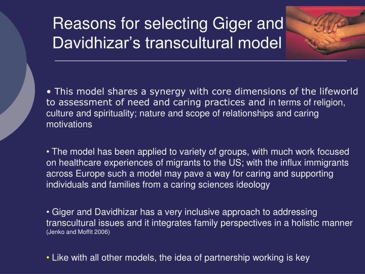 giger and davidhizar transcultural model