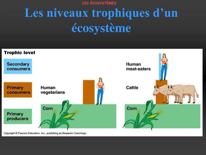 PPT - Les écosystèmes PowerPoint Presentation - ID:3703946