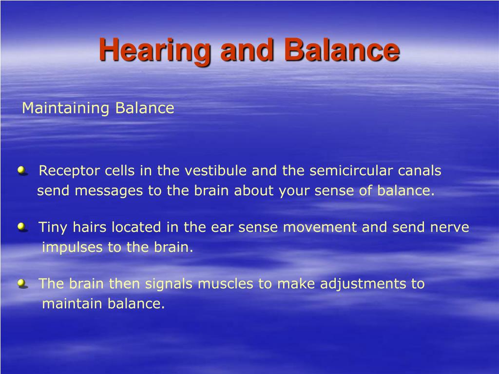 Parts of the Ear PowerPoint Presentation free download Biology Diagrams