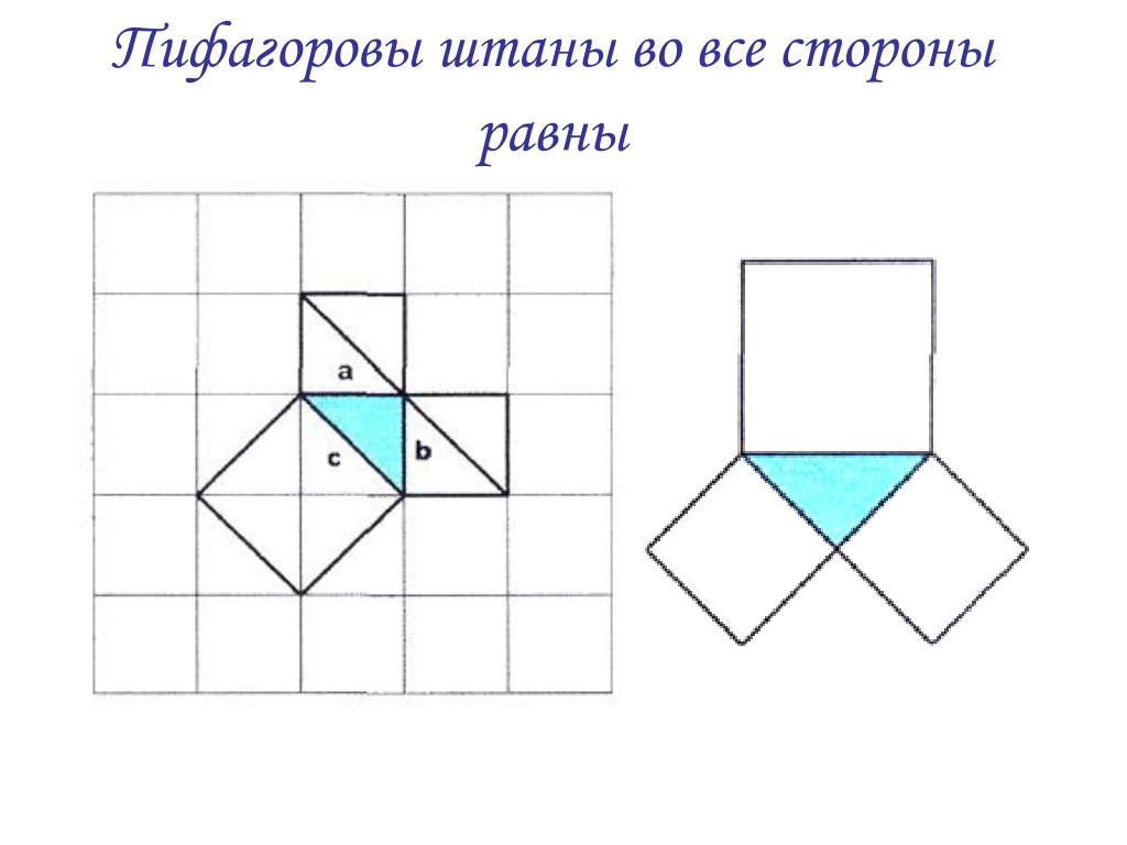 Пифагоровы штаны на все стороны равны что. Пифагор в пифагоровых штанах. Теорема Пифагора Пифагоровы штаны. Пифагоровы штаны доказательство. Пифагоровы штаны доказательство теоремы.