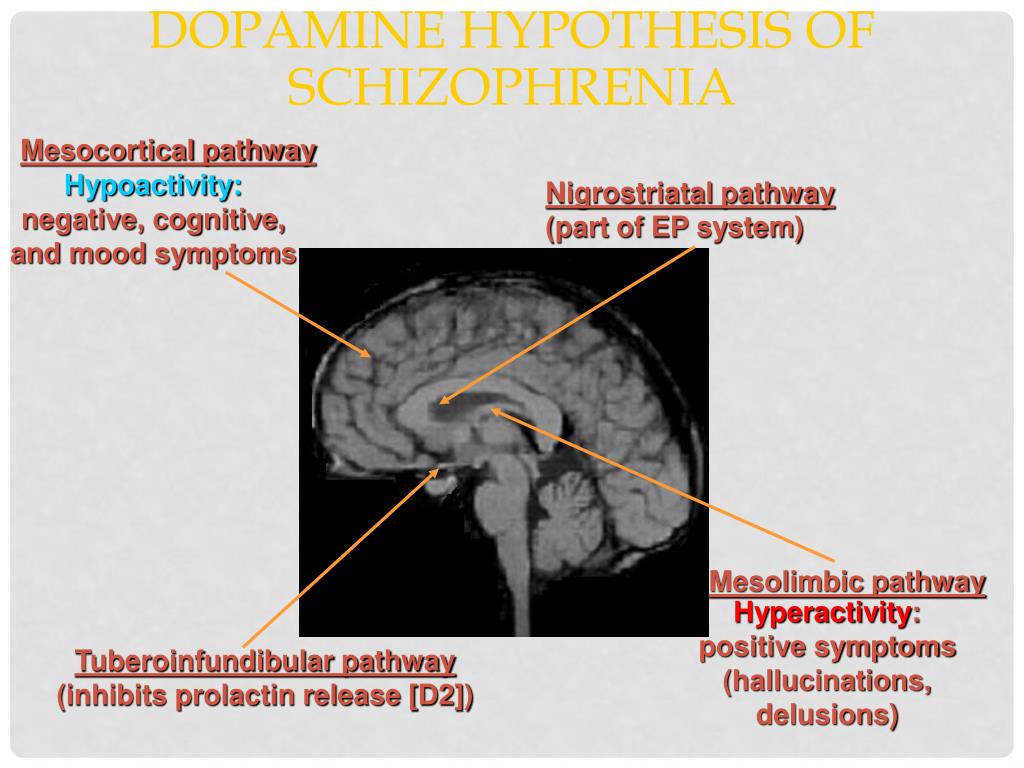 thorazine long term effects
