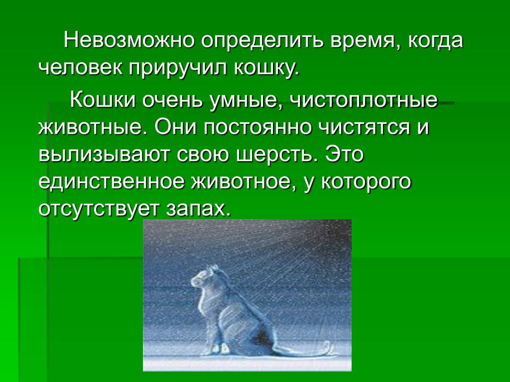 Нельзя определять. Кого приручил человек. Когда человек приручил кошку. Что значит приручить. Ты всегда в ответе за кого приручил.