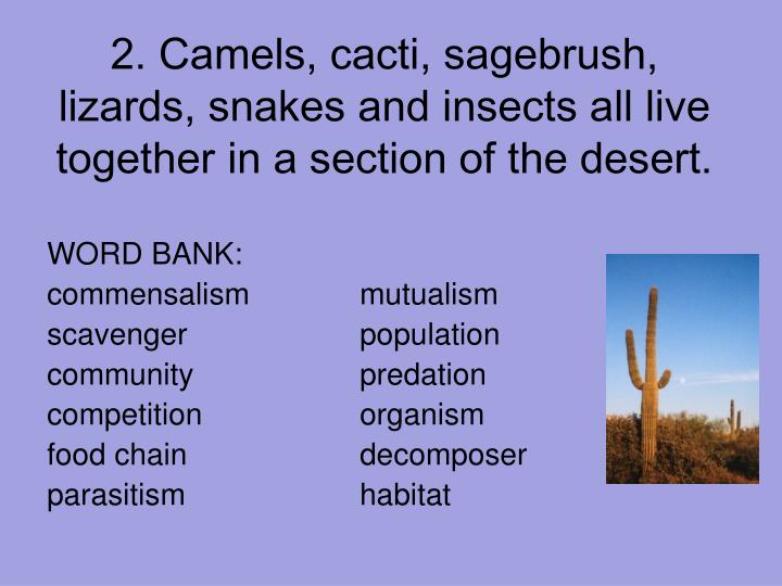 mutualistic relationship of young desert plants Biol 4120 principles of mutualistic relationship does not have to then supply the young plant with sugars and proteins until it becomes. mutualistic relationship of young desert plants Biol 4120 principles of mutualistic relationship does not have to then supply the young plant with sugars and proteins until it becomes.