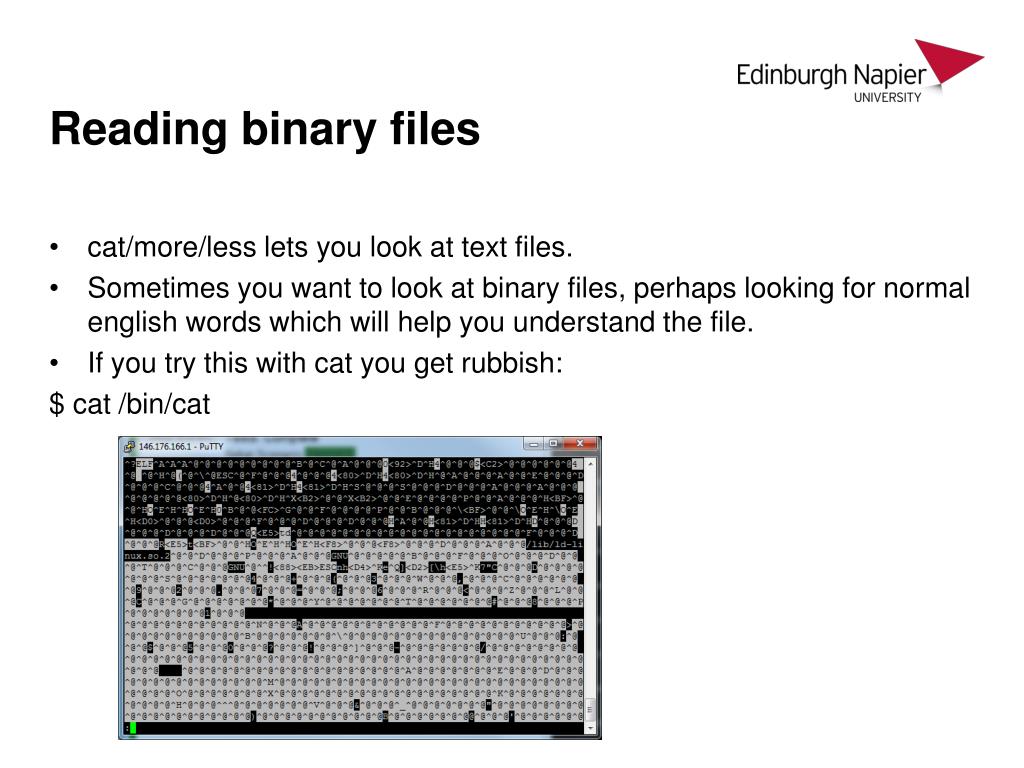 permission denied code blocks permission denied code blocks