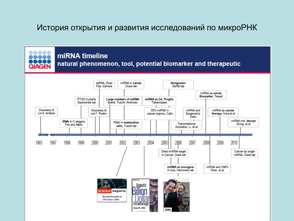 Mirna timeline. Направления исторических исследований