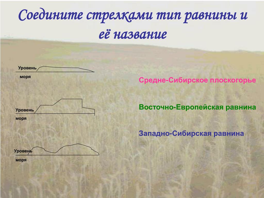 Плоскогорье это равнина. Низменности названия. Равнины и их названия. Название всех равнин. 5 Названий равнин.