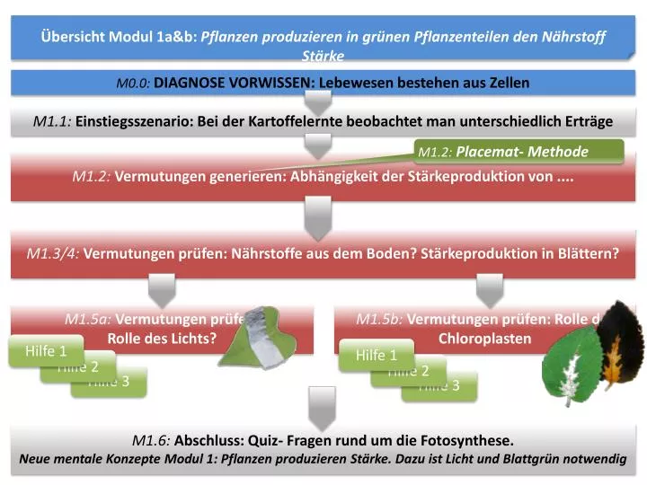 ppt-bersicht-modul-1a-b-pflanzen-produzieren-in-gr-nen