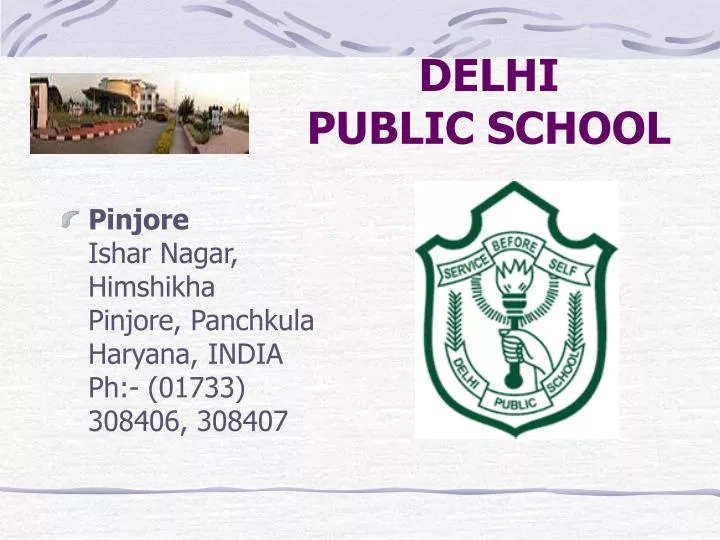 delhi public school n.
