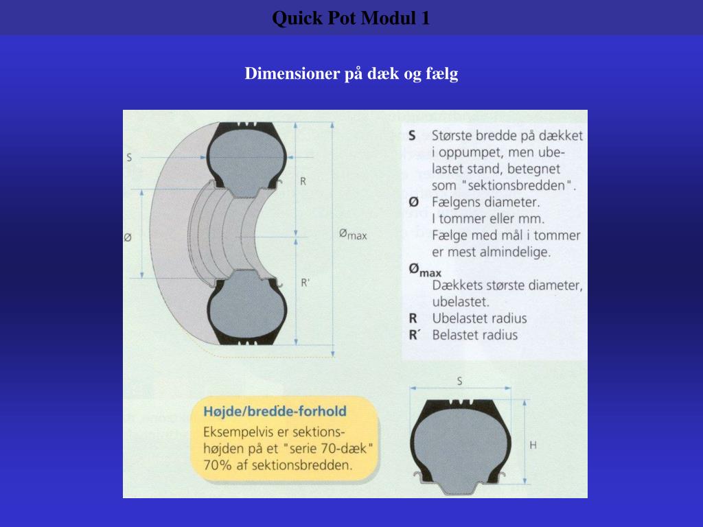 PPT - Radialdæk PowerPoint Presentation, free download - ID:3718896