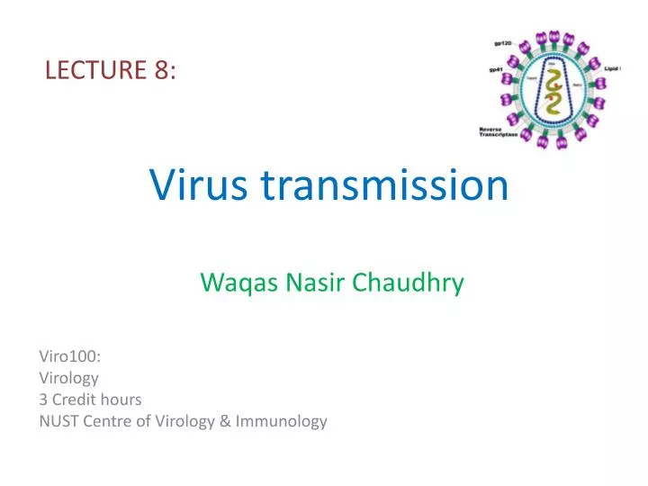 PPT - Virus transmission PowerPoint Presentation, free download - ID