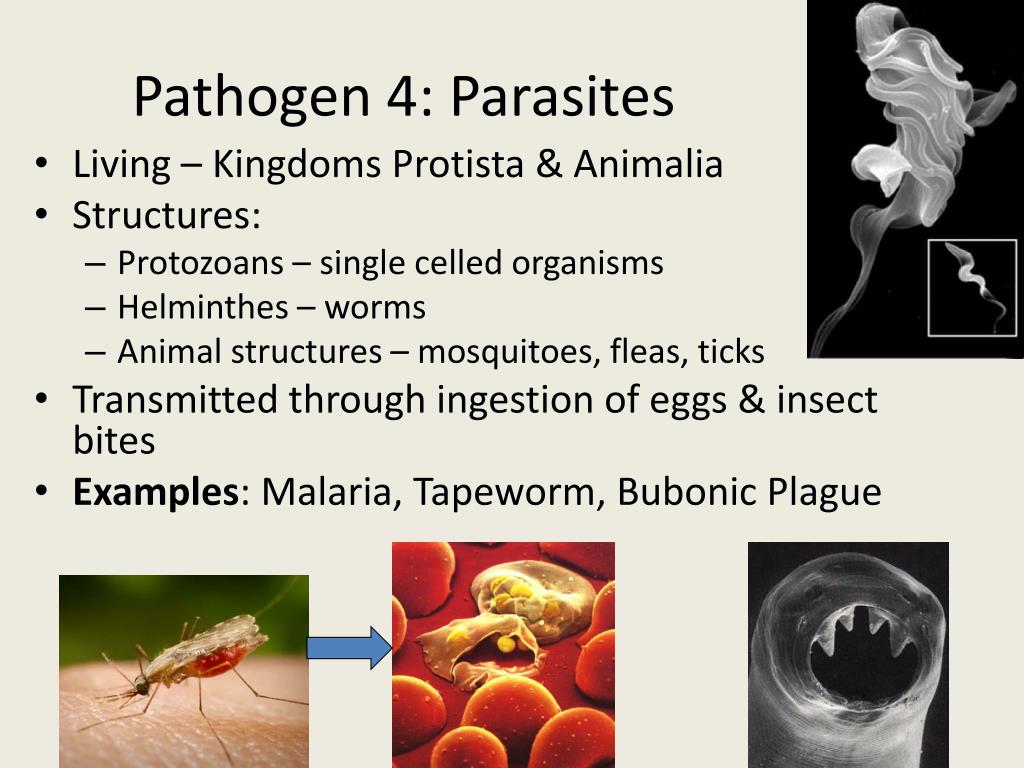 PPT - Introduction to Infectious Disease PowerPoint Presentation, free