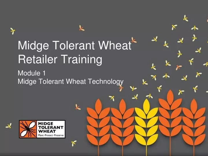 midge tolerant wheat retailer training n.