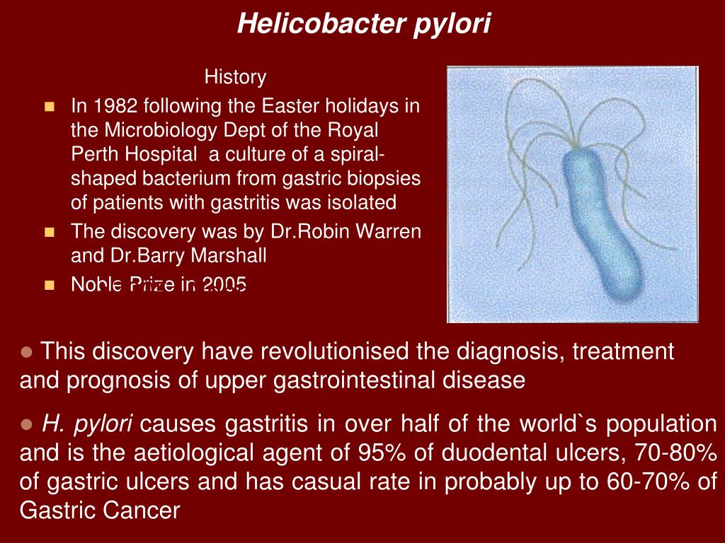 Mejor probiótico para helicobacter pylori Mejor probiótico para helicobacter pylori
