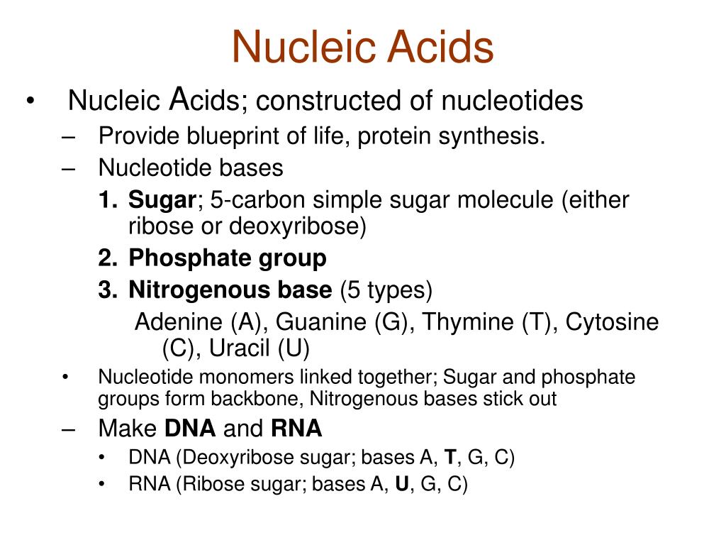 what are nucleic acids made of