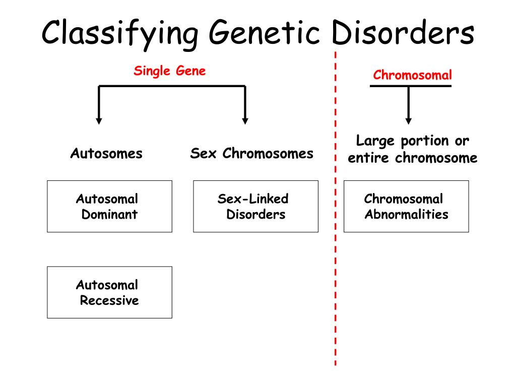 Ppt Classifying Genetic Disorders Powerpoint Presentation Free