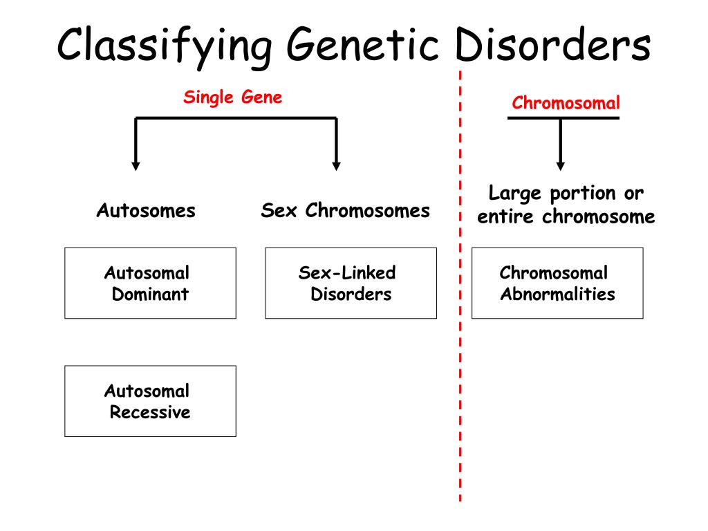 ppt-classifying-genetic-disorders-powerpoint-presentation-free