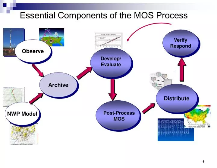 essential components of the mos process n.