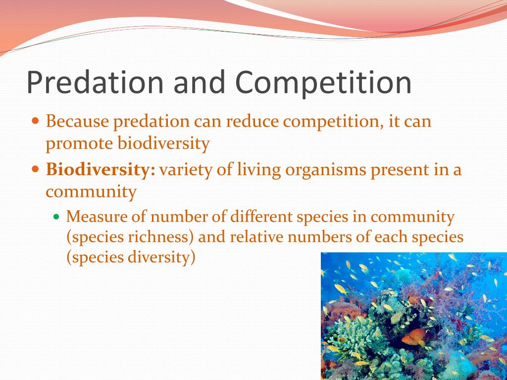 PPT Chapter 17 Section 2 PowerPoint Presentation, free download ID
