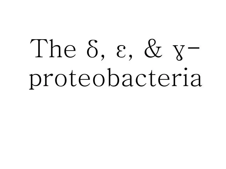 PPT The Proteobacteria PowerPoint Presentation
