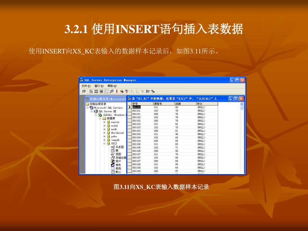 PPT - 第 3 章 表数据操作 PowerPoint Presentation, free download - ID:3732237