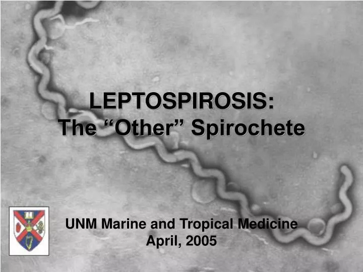 PPT LEPTOSPIROSIS The Other Spirochete PowerPoint Presentation 