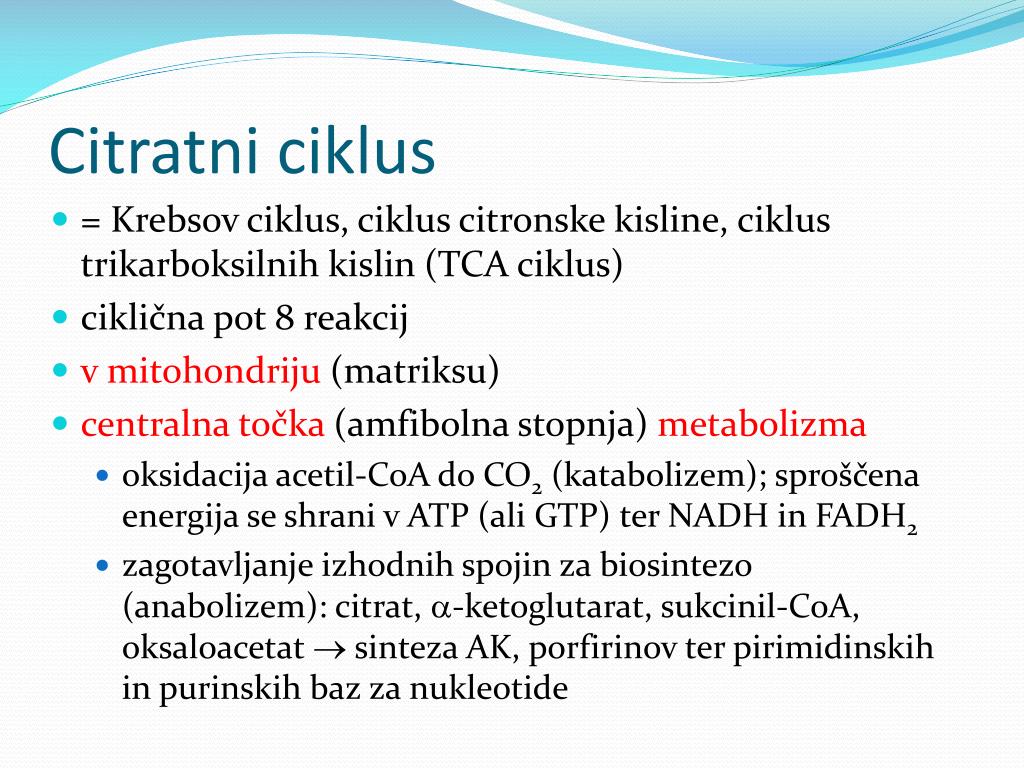 PPT - Metabolizmi PowerPoint Presentation, free download - ID:3734642